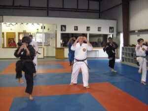 Karate classes in Webster, TX